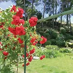 5 Bedroom In Feriehus