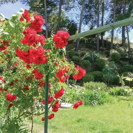 Pet Friendly In With Wifi Holiday home